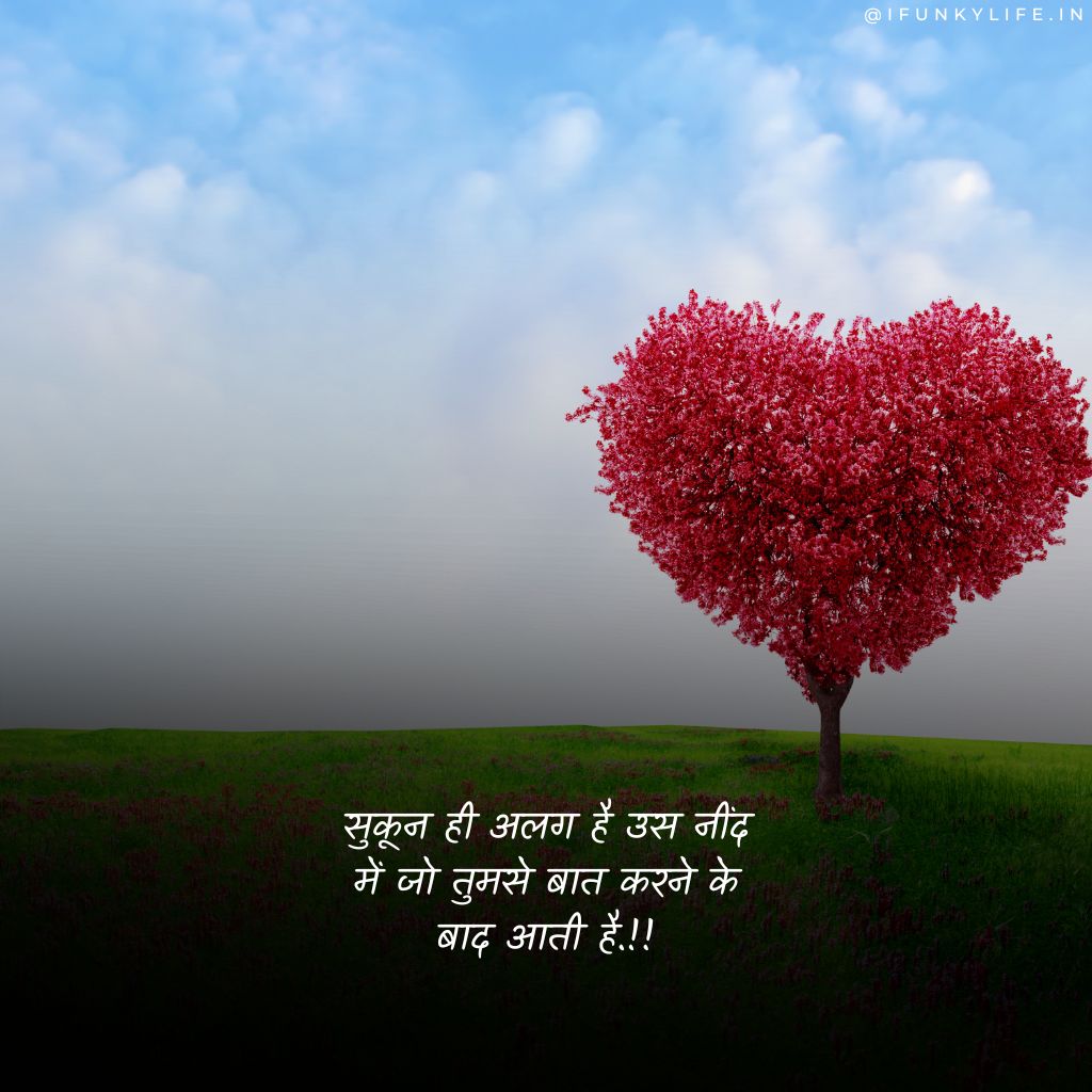 True Love Shayari Status