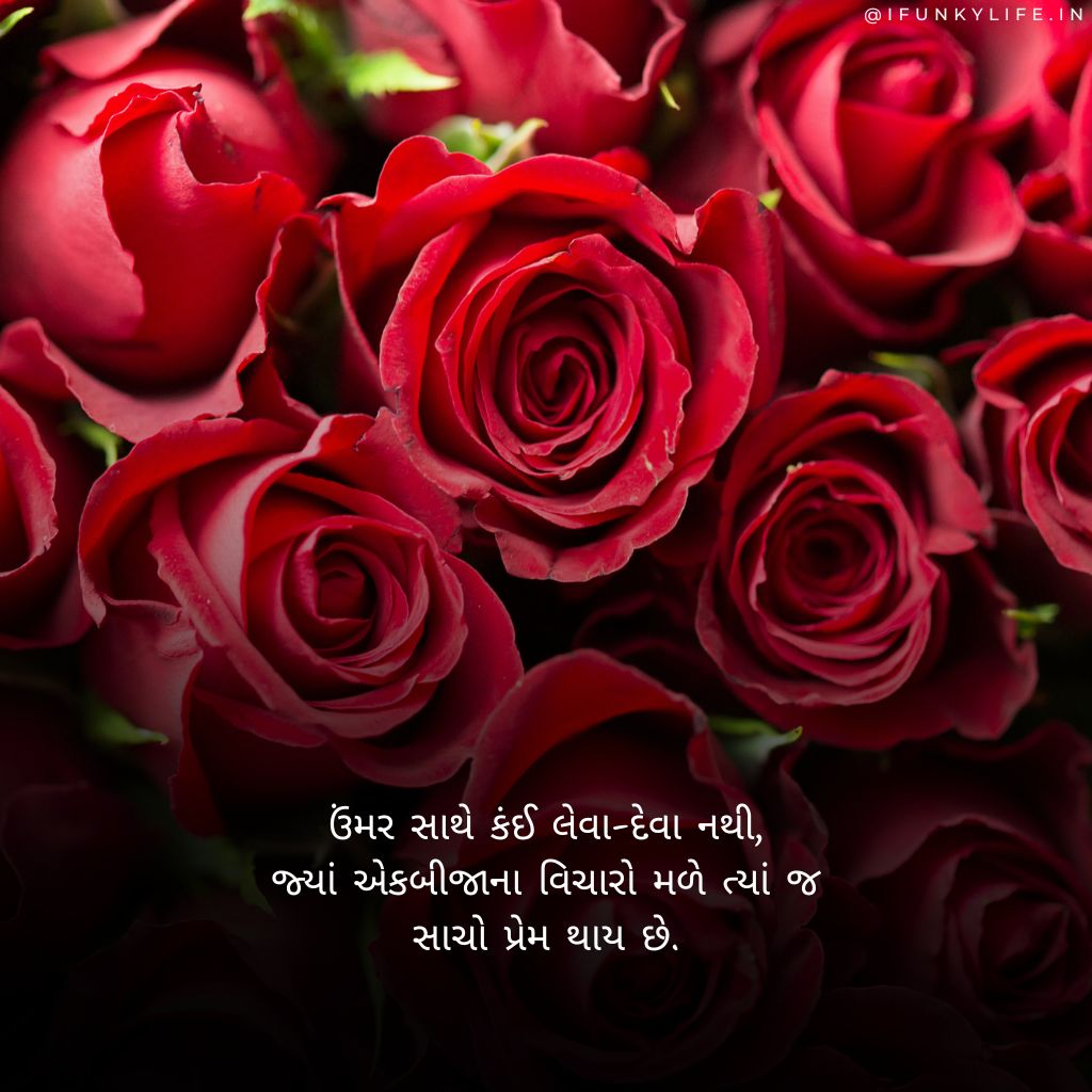 Instagram Gujarati Love Shayari